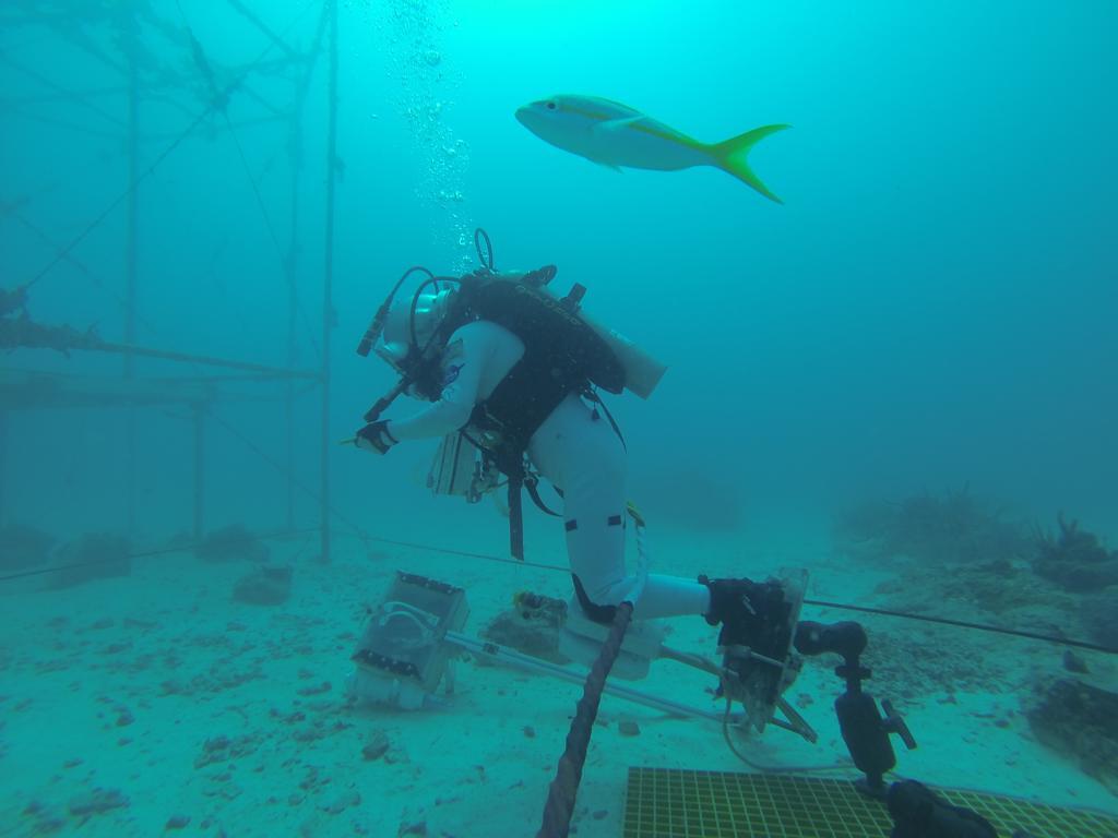 Undersea Astronauts Practice Spacewalks on Ocean Floor